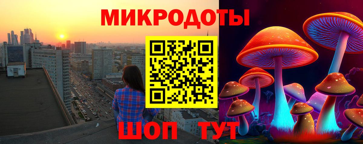 Псилоцибиновые грибы Cubensis Димитровград